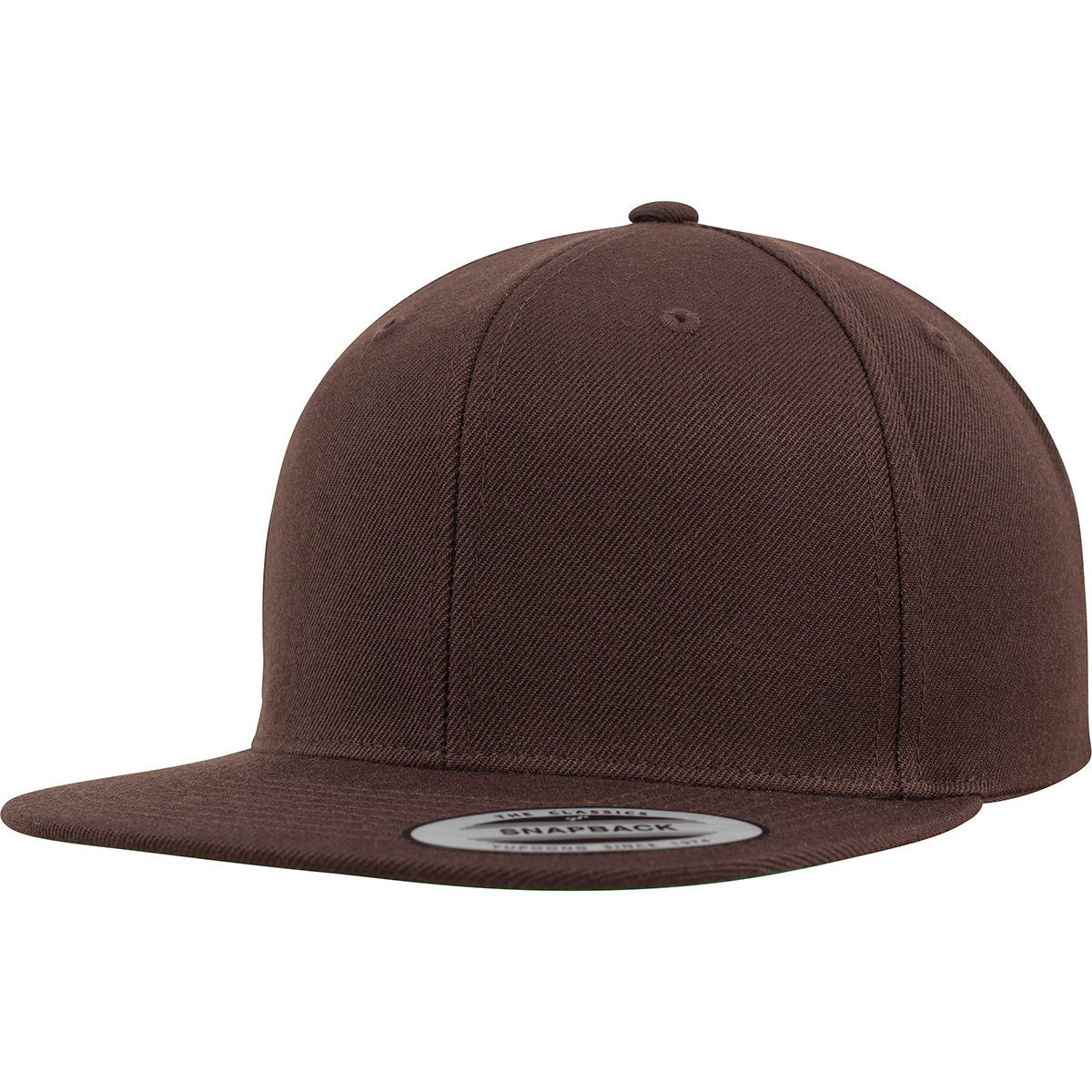 Flexfit Classic 6 Panel Snapbacks