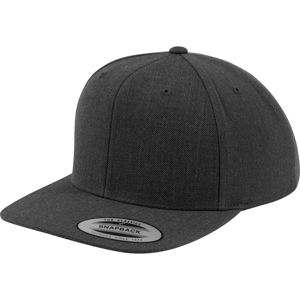 Flexfit Classic 6 Panel Snapbacks