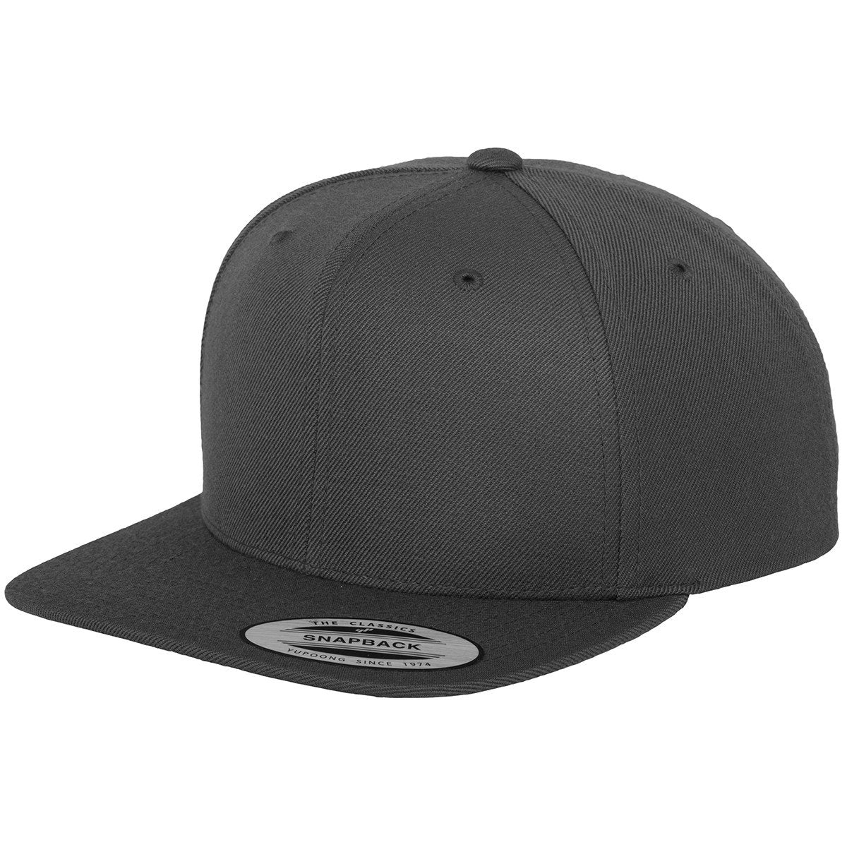 Flexfit Classic 6 Panel Snapbacks