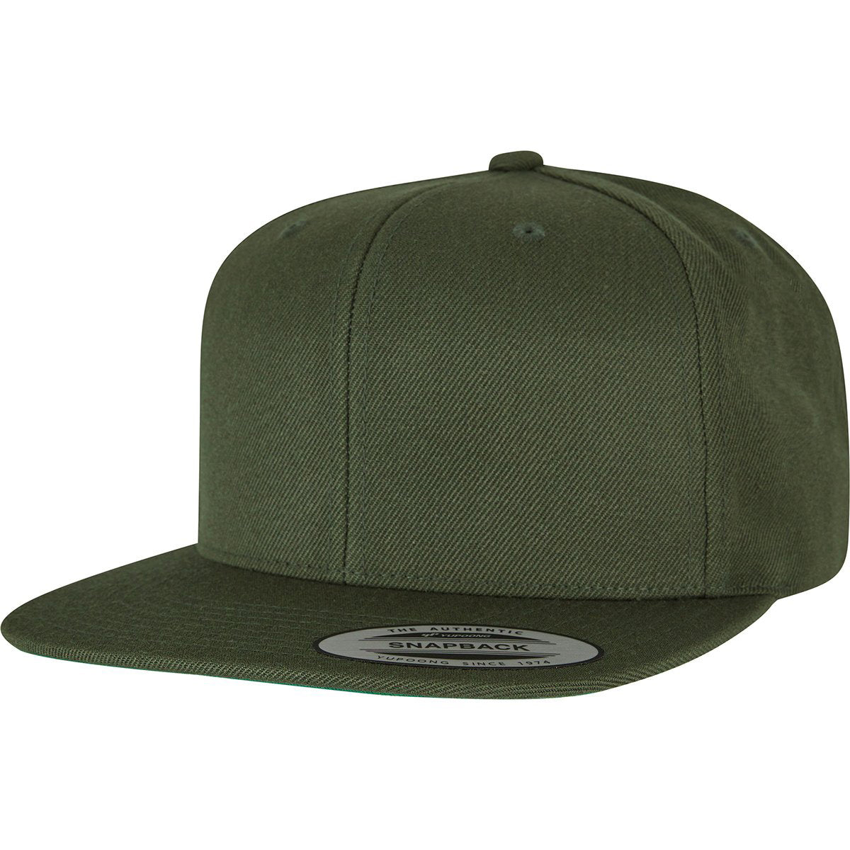 Flexfit Classic 6 Panel Snapbacks