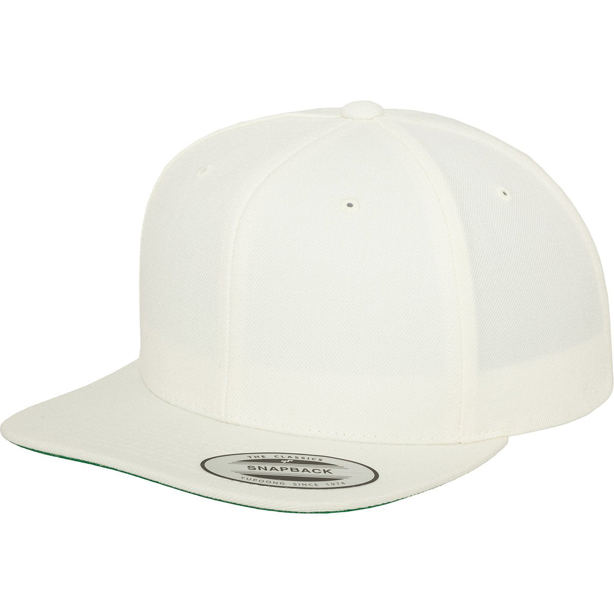 Flexfit Classic 6 Panel Snapbacks