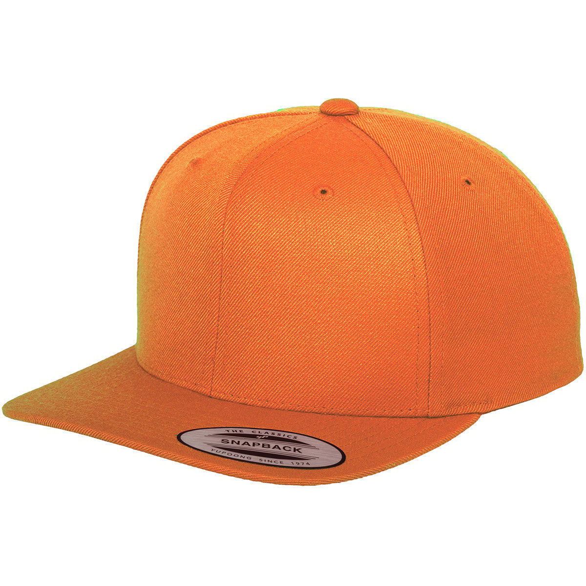 Flexfit Classic 6 Panel Snapbacks