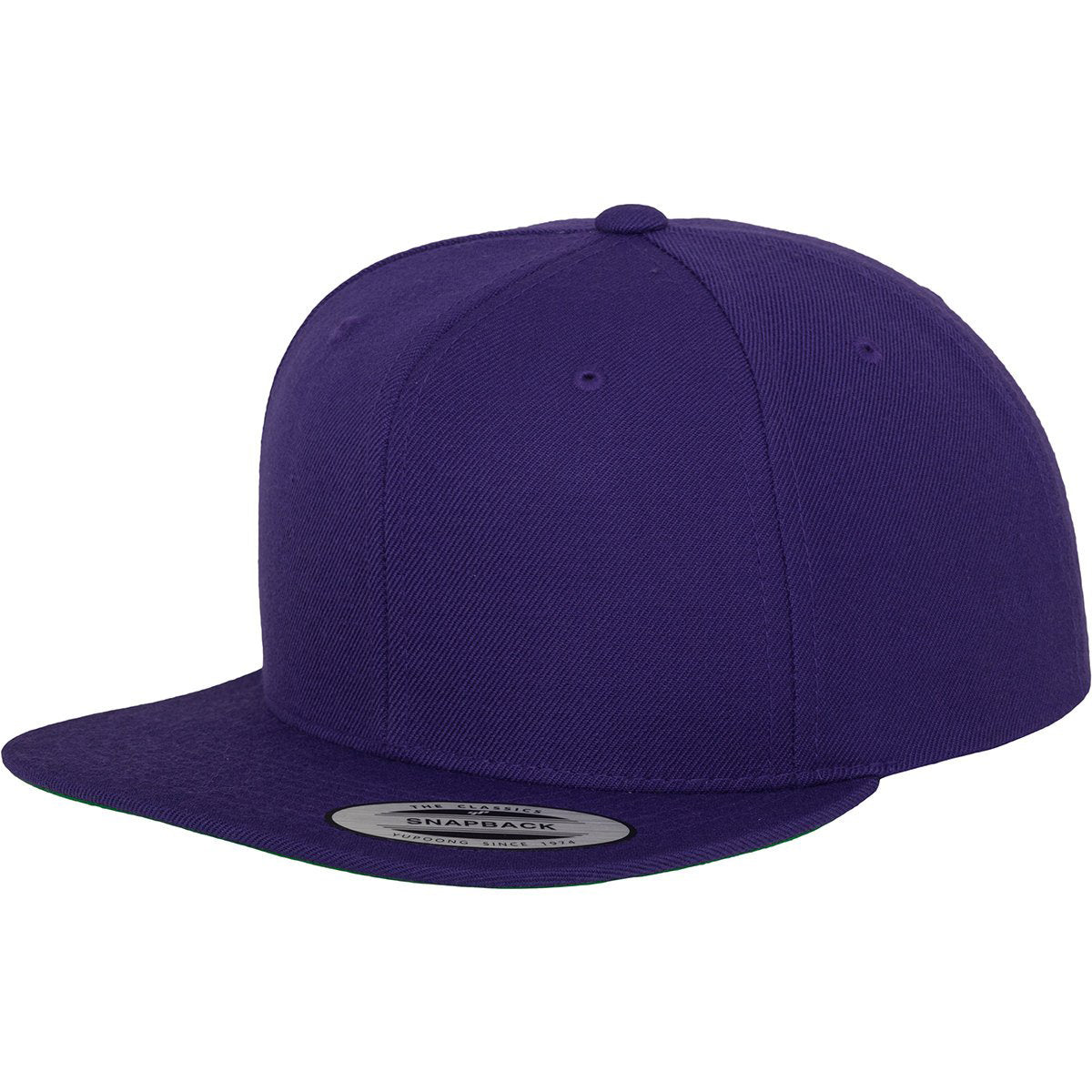 Flexfit Classic 6 Panel Snapbacks