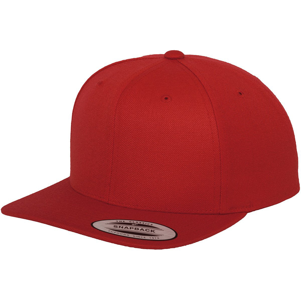 Flexfit Classic 6 Panel Snapbacks