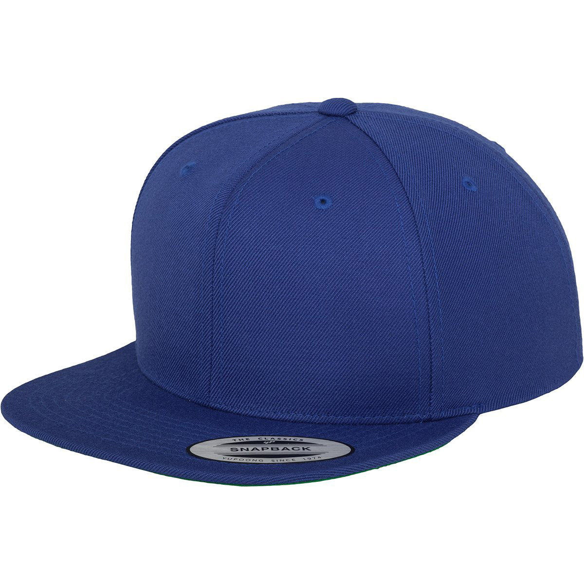 Flexfit Classic 6 Panel Snapbacks