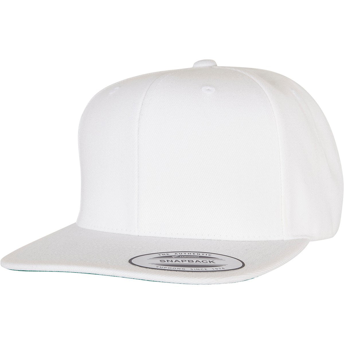 Flexfit Classic 6 Panel Snapbacks