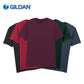 GD001 Gildan Softstyle T-Shirts