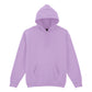 GD057 Gildan Heavy Blend Hoodies