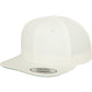 Flexfit Classic 6 Panel Snapbacks